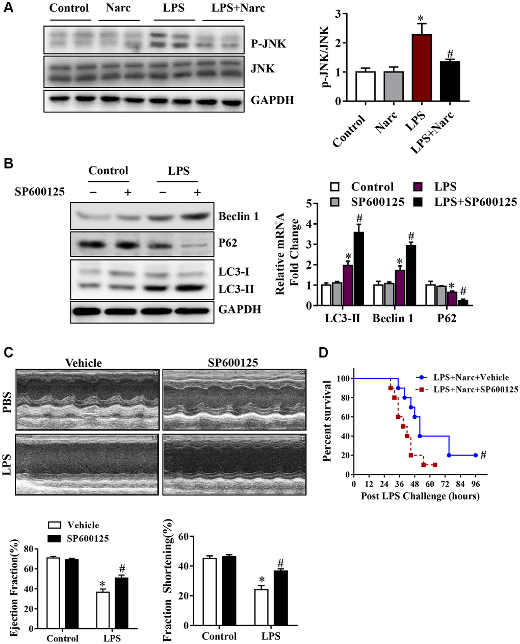 Narciclasine attenuates sepsis-induced myocardial injury by 