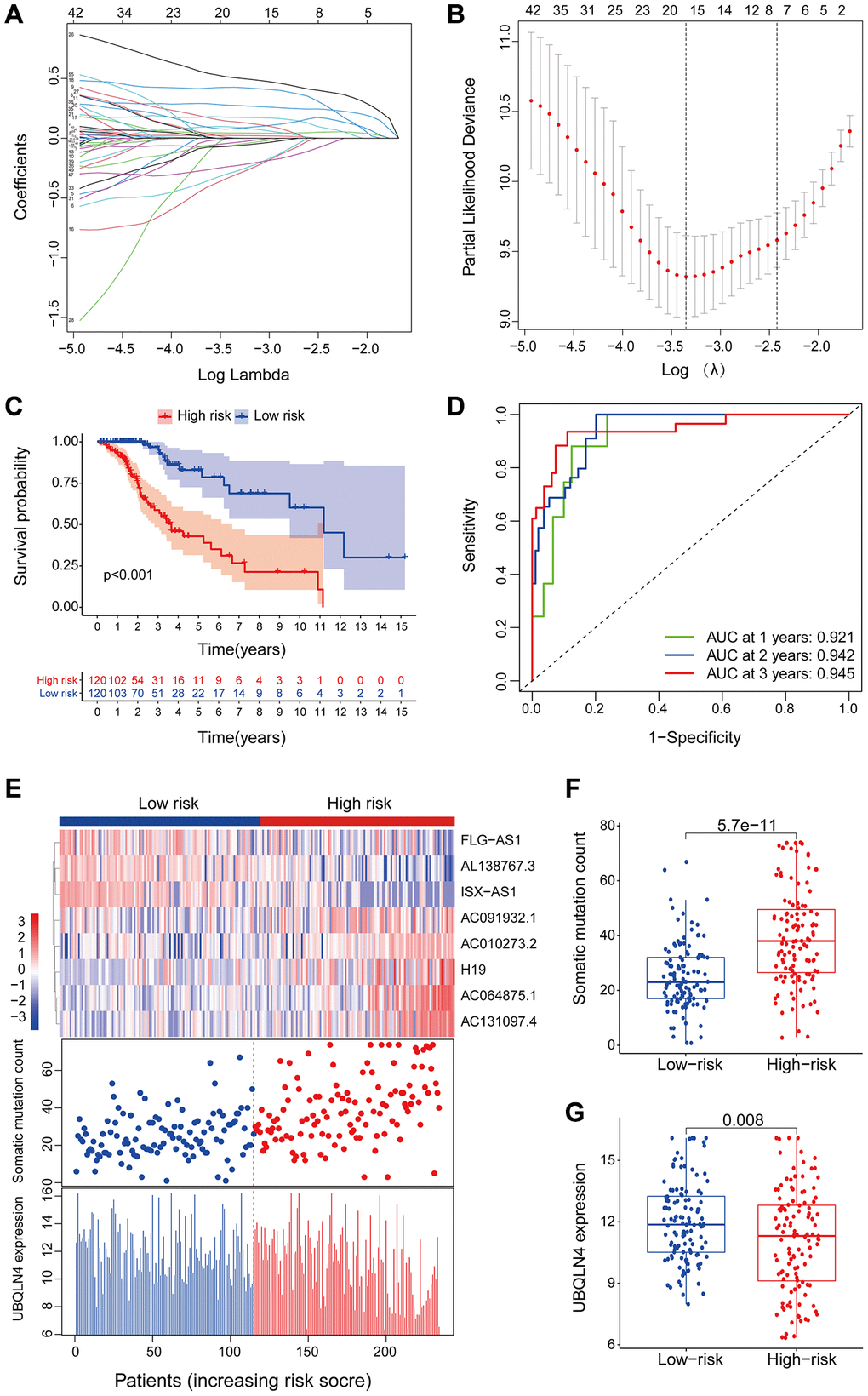 LncRNAs signature of the genomic instability used to predict outcomes in the training set. (A) Lasso Cox analysis identified 16 lncRNAs associated with genomic instability that were highly associated with prognosis. (B) Determination of the optimal value of penalty parameters through 1000 replicates of cross-validation. (C) Kaplan-Meier estimation of GILncSig-predicted overall survival of low- or high-risk patients in the training set. (D) Time-dependent ROC curves of GILncSig at 1, 2 and 3 years. (E) Distribution of cumulative somatic mutations and expression of UBQLN4 in high- and low-risk groups in the GILncSig model of low-grade glioma patients. (F) Box plot for distribution of cumulative somatic mutations in the low- and high-risk groups of LGG patients. (G) Box plots for UBQLN4 gene expression in low- and high-risk groups of LGG patients.