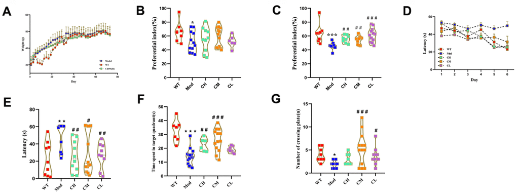 CDPS treatment improves learning and memory in the D-gal aging model mice. (A) The body weights of WT, Mod, and CDPS group mice during administration. (B, C) Novel object recognition test results show the preferential index in WT, Mod, and CDPS group mice after (B) 24 h training and (C) 1 h testing phase. Morris water maze test results show (D, E) escape latency, (F) number of plate crossings, and (G) time in the target quadrant for the WT, Mod, and CDPS group mice. Note: *p