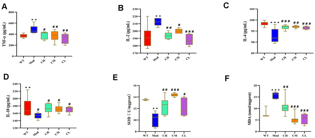 CDPS treatment modulates circulating levels of pro- and anti-inflammatory cytokines and oxidative stress-related factors in the D-galactose-induced aging model mice. ELISA assay results show serum levels of (A) TNF-α, (B) IL-2, (C) IL-4, (D) IL-10, (E) SOD and (F) MDA in the WT, Mod, and CDPS (CH, CM, and CL) group mice. Note: *p