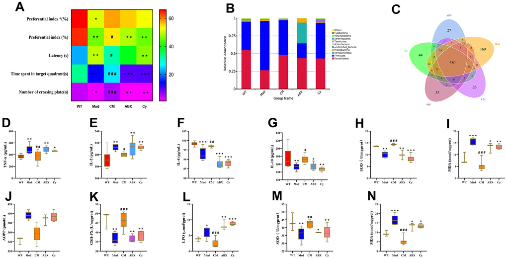 CDPS alleviates learning and memory by restoring homeostasis of the gut microbiota. (A) Heat maps show long-term memory (preferential index*) and short-term memory (preferential index) in the WT, Mod, CM, ABX, and Cy groups of mice. (B) The relative abundance of top 10 gut microbial phyla in the WT, Mod, CDPS, ABX, and Cy groups of mice.(C) Venn diagram shows the number of bacterial operational taxonomic units (OTUs) in the WT, Mod, CDPS, ABX, and Cy groups of mice. (D–I) ELISA assays show levels of TNF-α, IL-2, IL-4, IL-10, SOD, and MDA in the serum of WT, Mod, CDPS, ABX, and Cy groups of mice. (J–N) Colorimetric assay results show the levels of AOPP, MDA, and LPO as well as activities of GSH-PX and SOD enzymes in the brains of WT, Mod, CDPS, ABX, and Cy groups of mice. Note: *p
