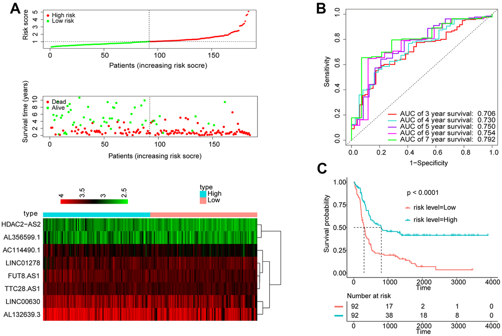 Apply the 8-lncRNA signature to adult ALL. (A) Distribution of 8-lncRNA-based signature scores, lncRNA expression levels and patient survival durations in the GSE34861 set. (B) ROC curve analyses based on the 8-lncRNA signature. (C) Kaplan-Meier curves of OS based on the 8-lncRNA signature.