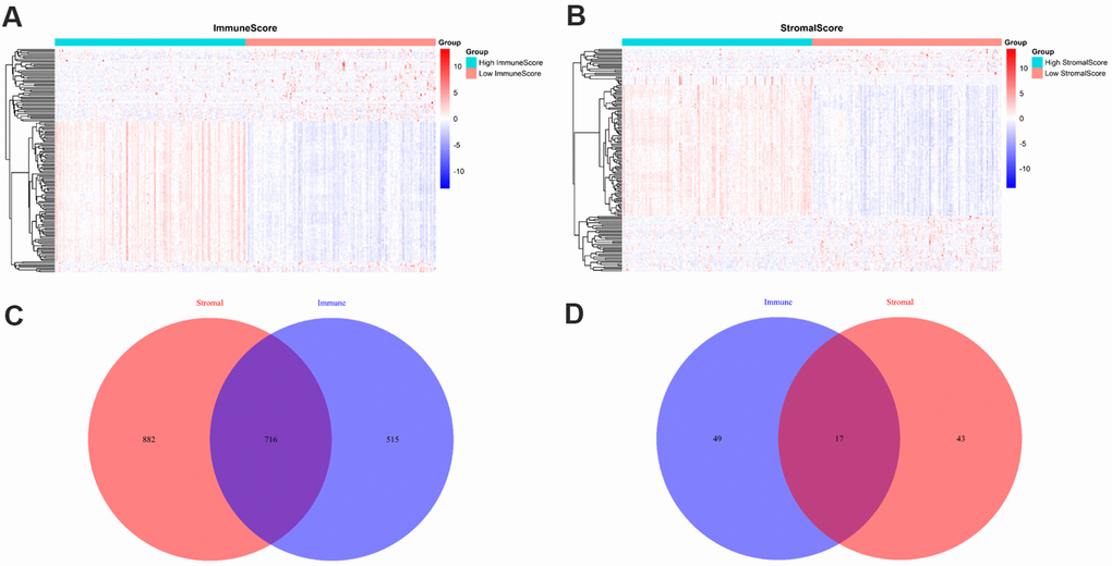 Comparison of gene expression profiles with immune and stromal scores. (A) A heat map of DEGs between the high and low immune score groups; (B) A heat map of DEGs between the high and low stromal score groups; (C) Venn diagrams showing the number of high expression and (D) low expression of DEGs in both immune and stromal score groups.