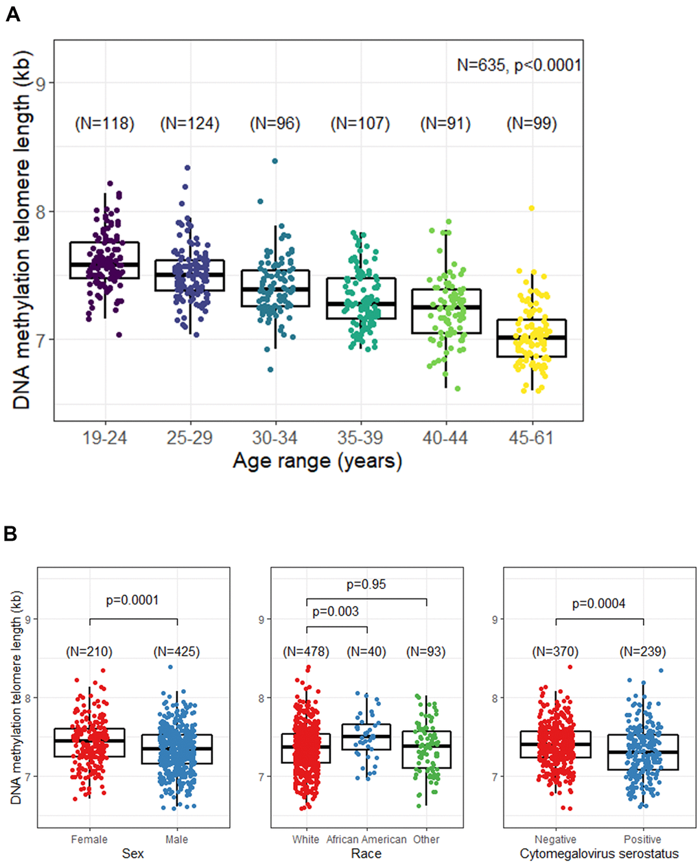 Unadjusted relationship between DNA methylation telomere length (DNAmTL) and selected participant characteristics. (A) DNAmTL by age categories. (B) DNAmTL by sex, race, or cytomegalovirus (CMV) serostatus.