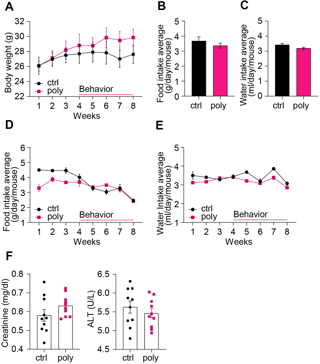 1020px x 1158px - Long-term exposure to polypharmacy impairs cognitive functions in young  adult female mice | Aging
