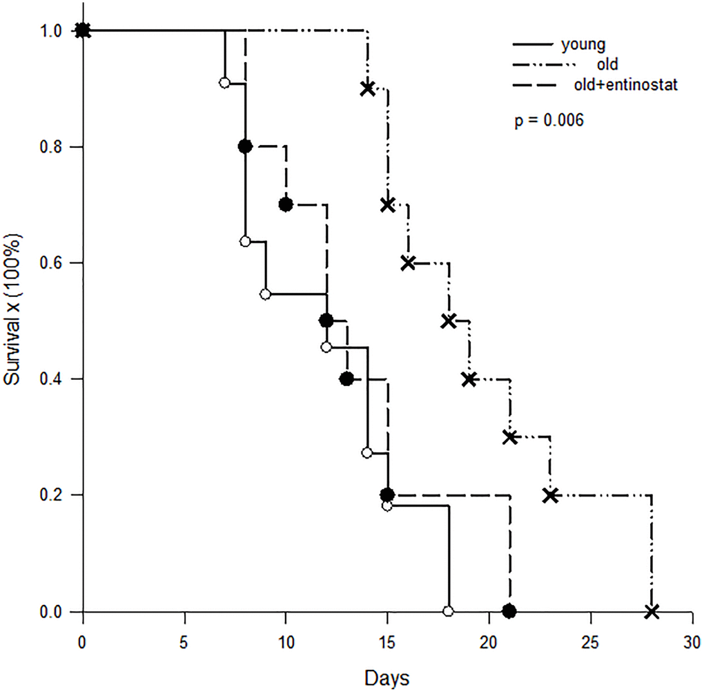 Kaplan-Meier survival curve of skin allografts. Skin grafts from C3H mice were transplanted to young (n = 11) B10 mice, aged B10 mice (n = 10) and aged B10 mice (n = 10) fed with entinostat. The results showed that the skin allograft survival on young B10 mice was 11.9 ± 5.2 days and was prolonged to 19.7 ± 5.2 days on aged mice (p = 0.005). When the aged mice was fed with entinostat to inhibit MDSC, the survival of skin grafts was shorten to 13.5 ± 4.7 days, which was not different from the survival on young mice (p = 0.359).