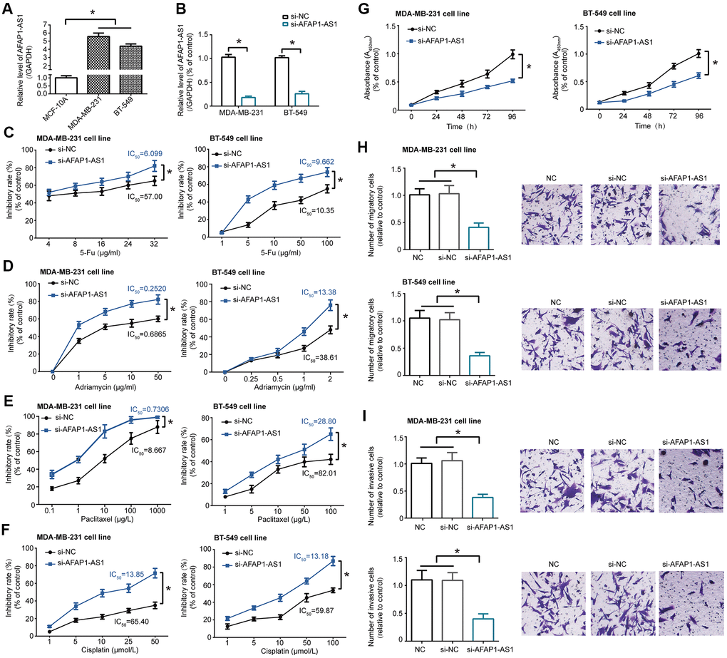 LncRNA AFAP1-AS1 regulated chemo-sensitivity and activity of triple-negative breast cancer (TNBC) cell lines. (A) LncRNA AFAP1-AS1 expression was up-regulated in TNBC cell lines (i.e. MDA-MB-231 and BT-549) as compared with normal breast epithelial cell line (i.e. MCF-10A). *: PB) LncRNA AFAP1-AS1 expression was decreased in MDA-MB-231 and BT-549 cell lines after transfection of si-lncRNA AFAP1-AS1. *: PC–F) Sensitivity of MDA-MB-231 and BT-549 cell lines responding to 5-Fu (C), adriamycin (D), paclitaxel (E) and cisplatin (F) was enhanced after transfection of si-lncRNA AFAP1-AS1. *: PG–I) Proliferation (G), migration (H) and invasion (I) of MDA-MB-231 and BT-549 cell lines were assessed after silencing of lncRNA AFAP1-AS1. *: P