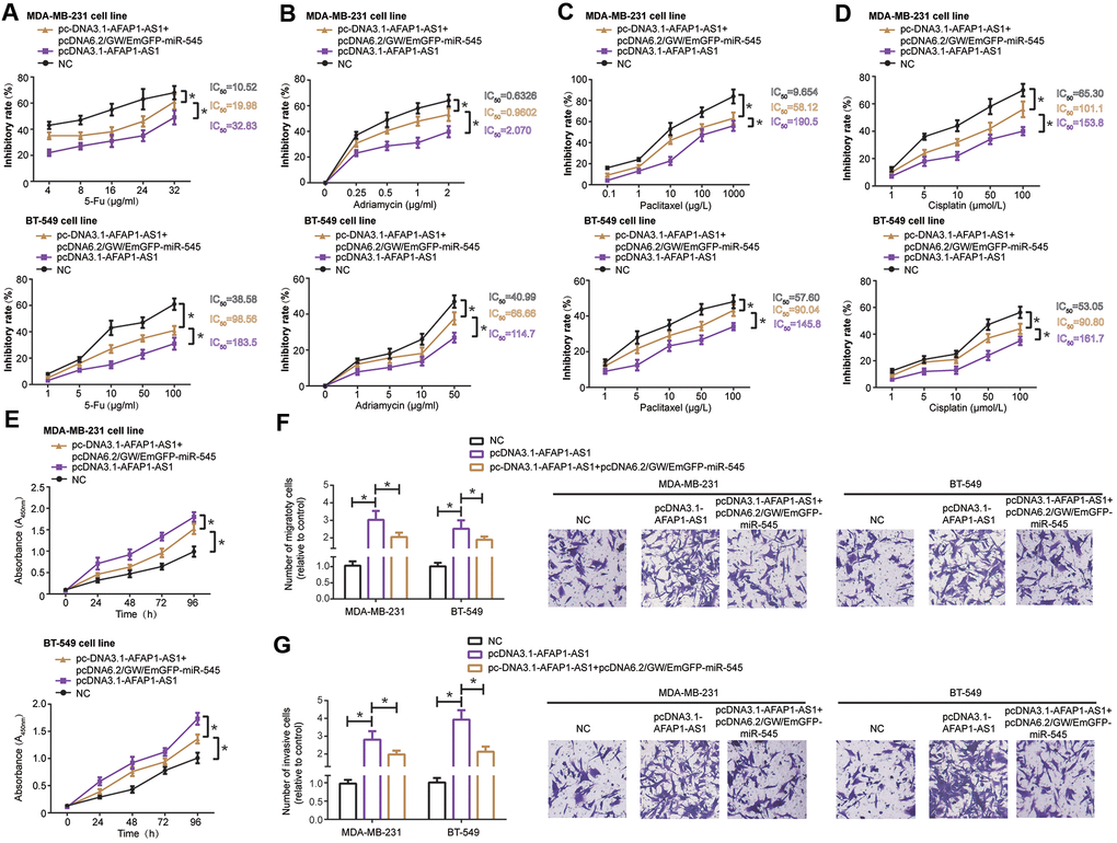 MiR-545-3p disturbed the influence of lncRNA AFAP1-AS1 on chemo-resistance (A–D), proliferation (E), migration (F) and invasion (G) of triple-negative breast cancer (TNBC) cells. *: P