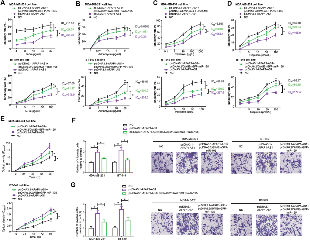 MiR-195 interfered with the influence of lncRNA AFAP1-AS1 on drug-resistance (A–D), proliferation (E), migration (F) and invasion (G) of triple-negative breast cancer (TNBC) cells. *: P
