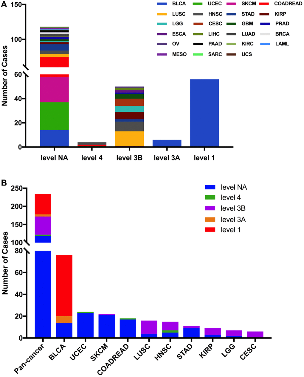FGFR3 mutation classification according to clinical therapeutic implications. (A) FGFR3 mutations were classified according to the therapeutic implications defined by OncoKB among all tumors together. (B) Therapeutic implications class distribution of FGFR3 mutations in pan-cancer and the top ten tumor types.