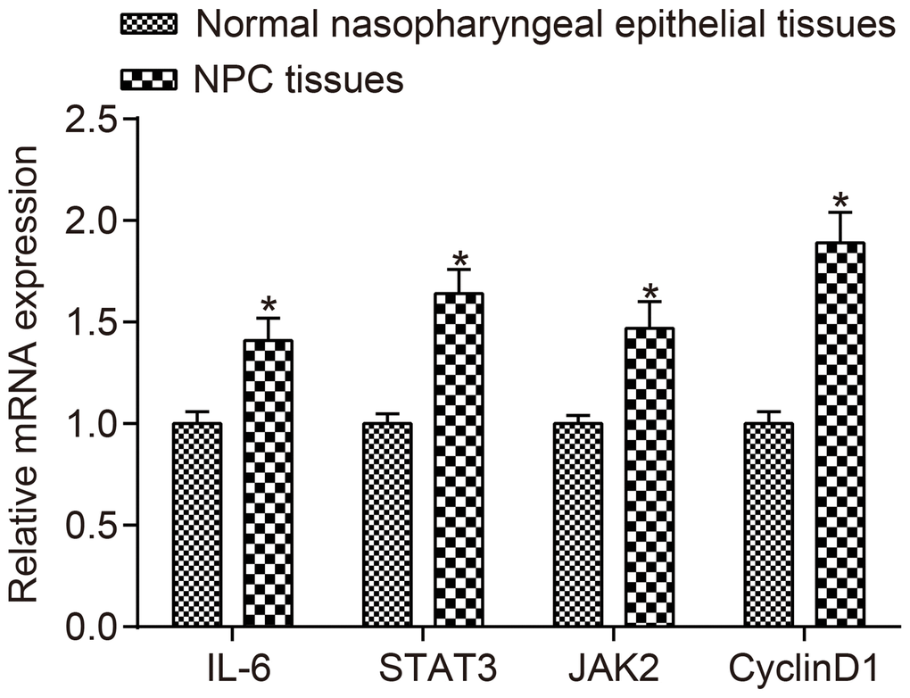 The mRNA expressions of IL-6, JAK2, STAT3 and CyclinD1 were higher in NPC tissues than in normal nasopharyngeal epithelial tissues.*p n = 117); Normal nasopharyngeal epithelial tissues (n = 112). Abbreviation: NPC: nasopharyngeal carcinoma.