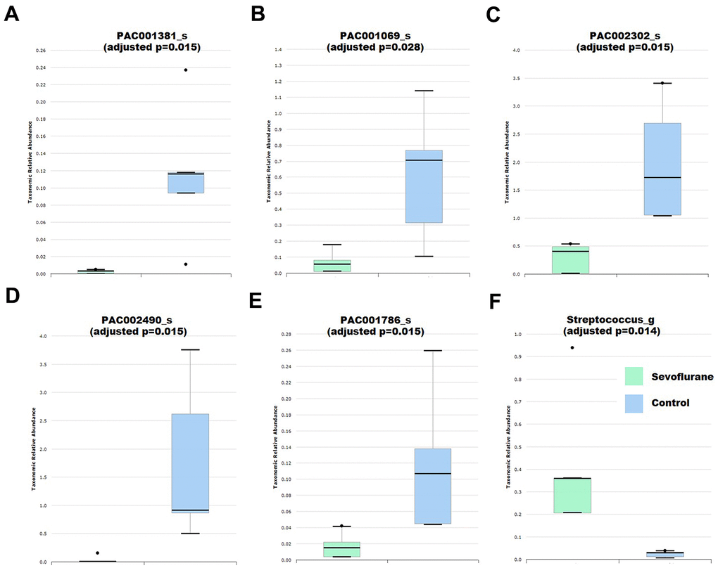 Differential abundance of gut bacteria between control (n = 5) and anesthesia (n = 4) mice. (A) Species PAC001381