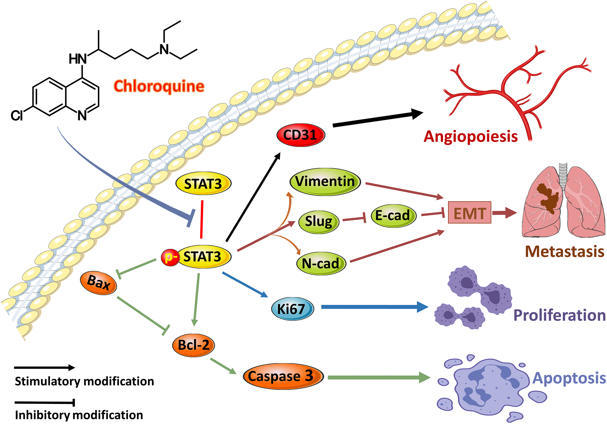 chloroquine mechanism of action