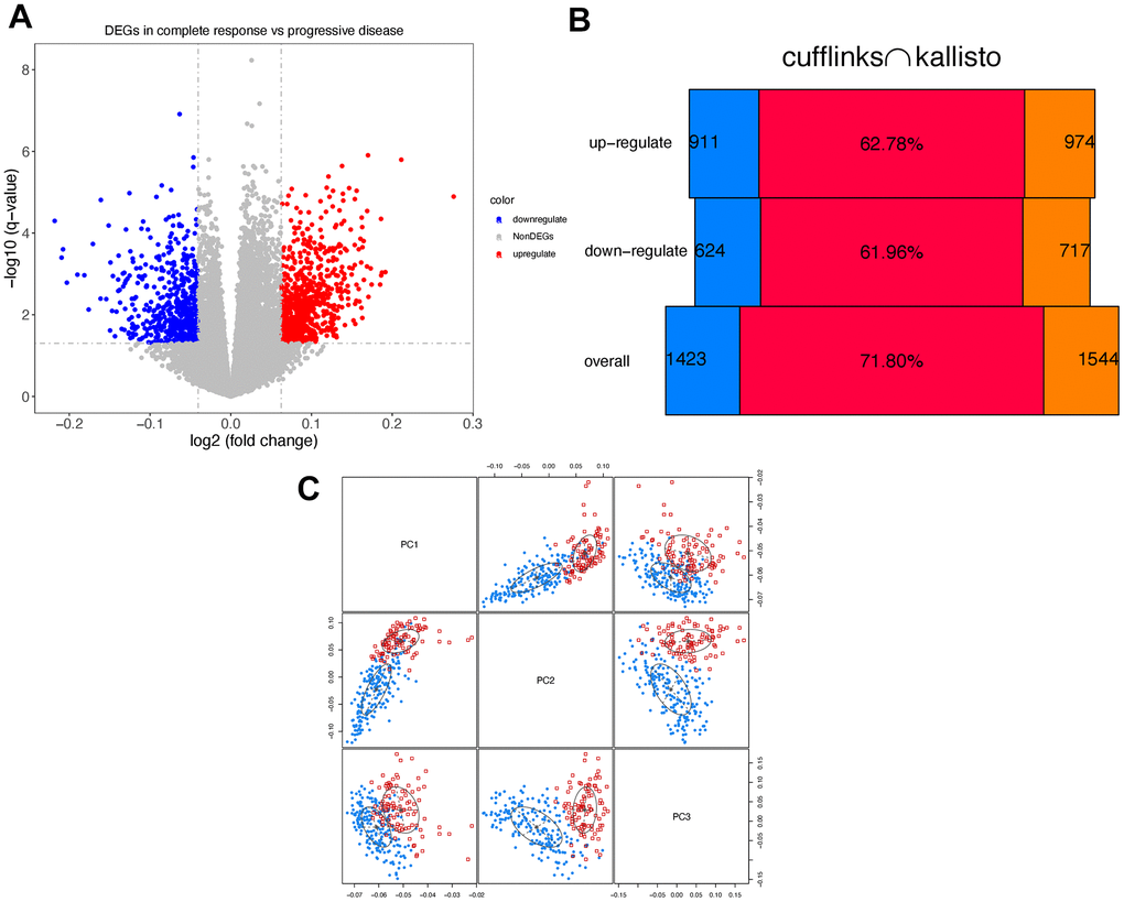 Differentially expressed genes. (A) Volcano graph of consistent DEGs using cufflinks and kallisto. Red/blue dots represent the up/down-regulated genes. (B) The results generated by cufflinks are marked in blue, and the results of kallisto are marked in orange. The red bars in the middle indicate the Jaccard index. (C) Principle component analysis. Response/progressive patients are marked in blue and red, respectively.