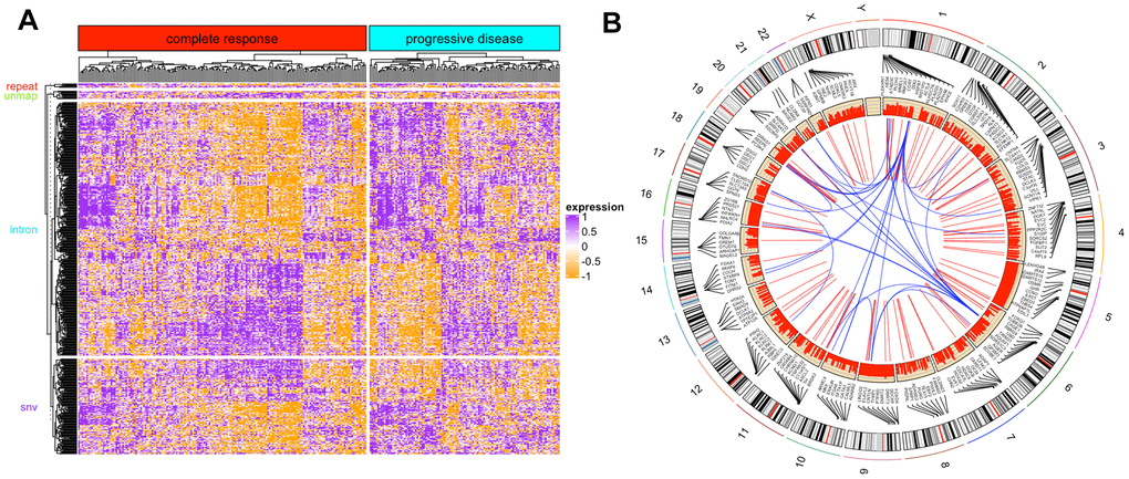 DEkupl contigs results. (A) The heatmap of novel events identified by DEkupl using RNAseq data. (B) The circus graph of SNVs identified by DEkupl using the WES data.