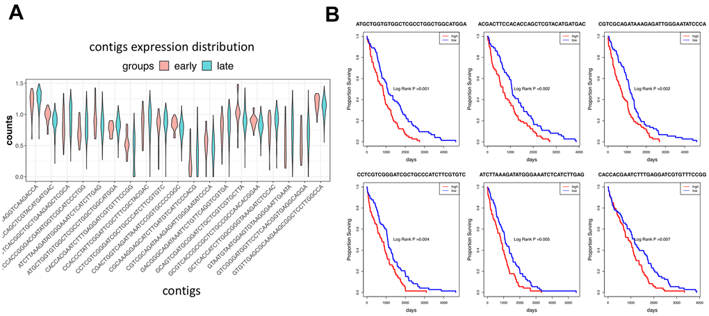 Expression of contigs in different cancer groups. (A) The violin graph shows the expression of the top 20 contigs of novel events in the early and late-stage patients. (B) Survival analysis shows the top 6 most significant contigs.