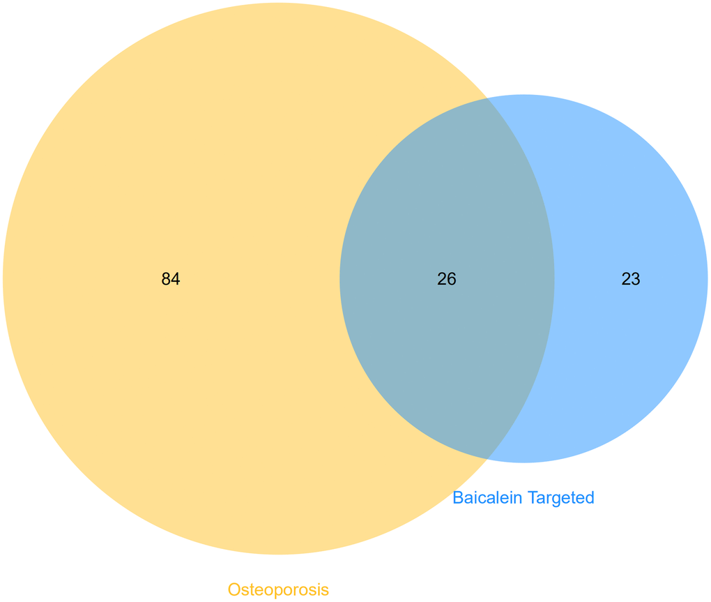 Identification of shared KEGG pathways related to baicalein-targeted genes and osteoporosis. Venn diagram shows 26 common KEGG pathways by intersecting those related to baicalein-target genes (n=49 KEGG pathways) and osteoporosis (n=110 KEGG pathways).