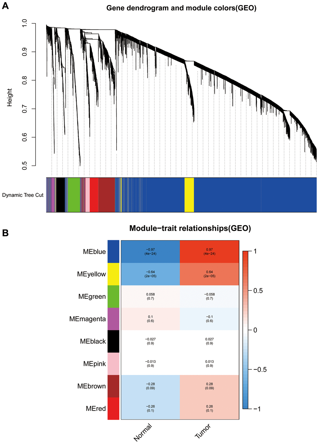 Weighted gene co-expression network analysis dendrograms and correlation plots. (A) The dendrogram. (B) The correlation high heat map of the modules.