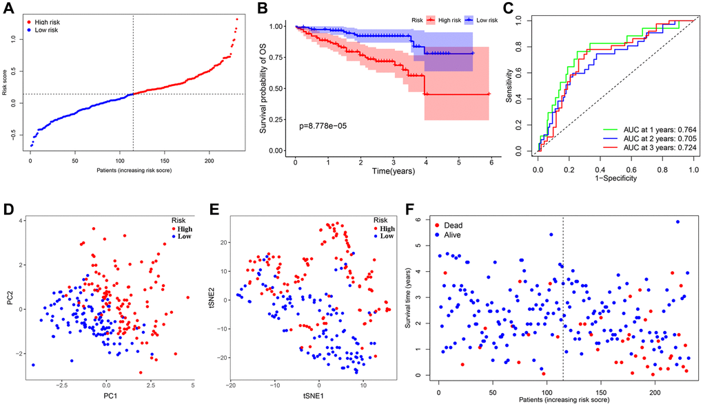 Validation of the 7-gene signature in the ICGC cohort. (A) The distribution and median value of the risk scores in the ICGC cohort. (B) Kaplan-Meier curves for the difference in OS of HCC patients between the high-risk group and low-risk group in the ICGC cohort. (C) The AUC of time-dependent ROC curves verified the prognostic performance of the 7-gene signature in the ICGC cohort. (D) The PCA plot of the TCGA cohort. (E) The t-SNE analysis of the ICGC cohort. (F) The distributions of OS status, OS and risk score in the ICGC cohort.