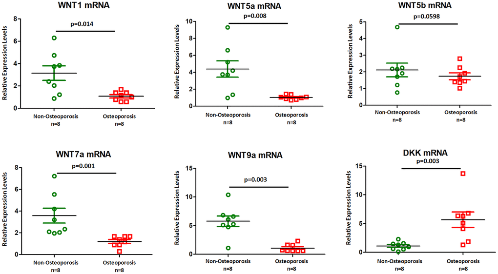 Wnt ligands mRNAs were higher in EVs isolated from osteoporotic patients. Six mRNAs (Wnt1, Wnt5a, Wnt5b, Wnt7a, Wnt9a, and DKK) were selected for qRT-PCR experiments using eight osteoporotic patients compared with eight non- osteoporotic individuals. Data represent mean ± SEM from three independent experiments.