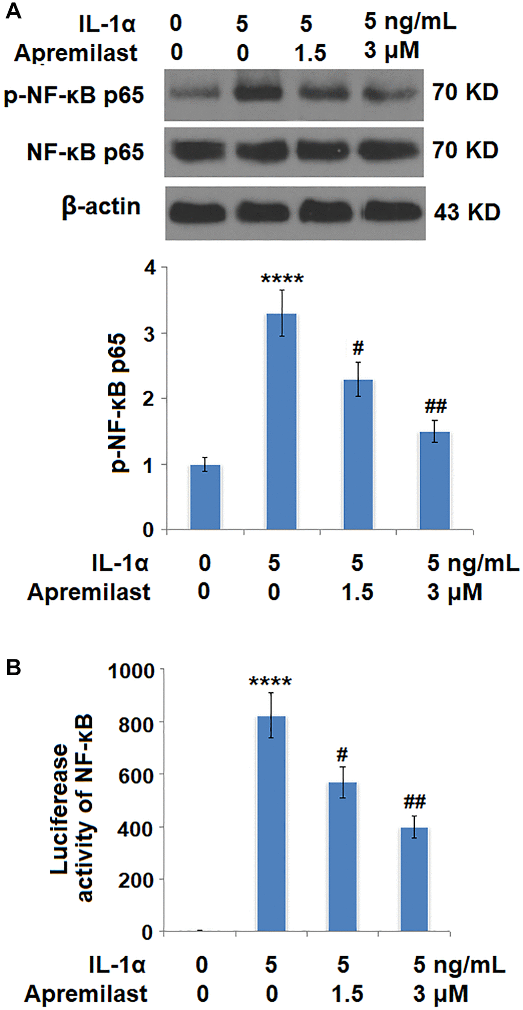 Apremilast inhibited IL-1α-induced activation of NF-kB in ESCs. Cells were stimulated with 5 ng/mL IL-1α in the presence or absence of 1.5 or 3 μM Apremilast for 6 hours. (A). Levels of p-NF-κB p65; (B). Luciferase activity of NF-κB (****P #, ##, P N = 5–6).