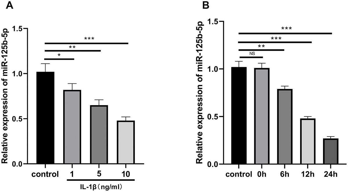 Upregulation Of MiR-125b-5p Relieves Chondrocyte Inflammation And ...