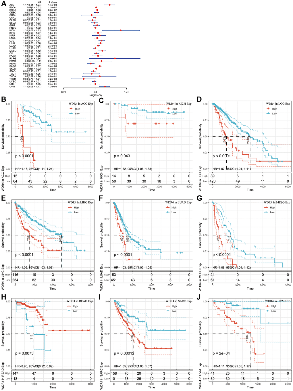 Association of WDR4 expression with patient overall survival (OS). (A) The forest plot shows the relationship of WDR4 expression with patient OS. (B–J) Kaplan-Meier analyses show the association between WDR4 expression and OS.