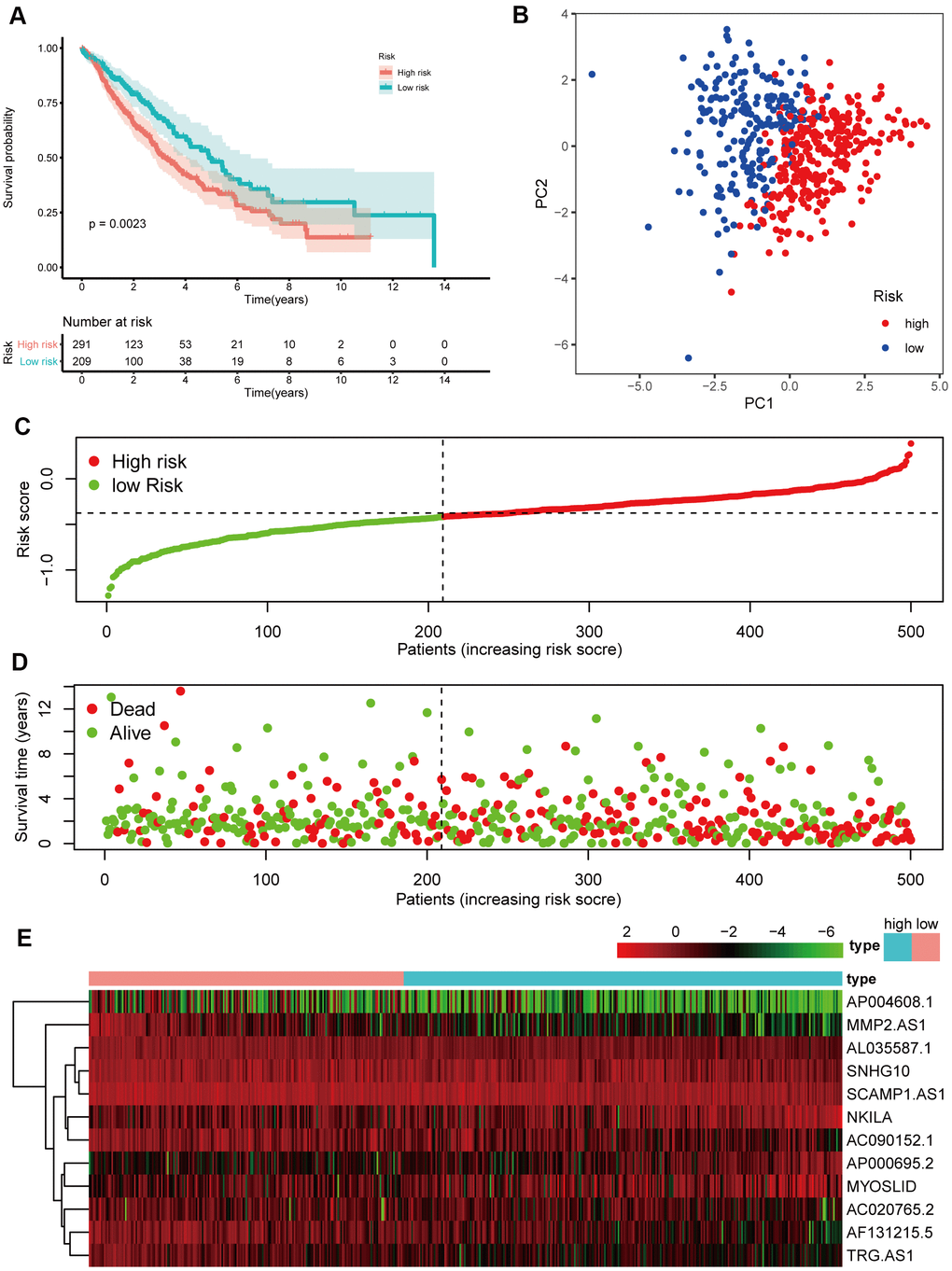 Prognostic analyses of the validation cohort. (A) Kaplan–Meier survival analysis. (B) PCA plot. (C) The risk scores in the different groups. (D) The survival time in the training cohort. (E) Heatmap of the expression levels of the 12 lncRNAs related to OS.