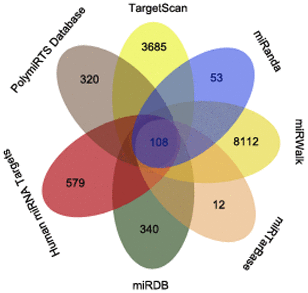The overlapping mRNAs from seven online analysis tools. The mRNAs identified by TargetScan, miRanda, miRWalk, miRTarBase, miRDB, Human miRNA Targets and PolymiRTS Database are visualized with a Venn diagram.