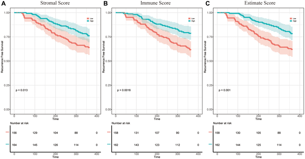 The correlation between estimate scores and the 1-year RFS of patients with HCC. (A) KM survival curves for the 1-year RFS of low/high stromal score subgroups (p = 0.013). (B) KM survival curves for the 1-year RFS of low/high immune score subgroups (p = 0.0016). (C) KM survival curves for the 1-year RFS of low/high estimate score subgroups (p = 0.001).