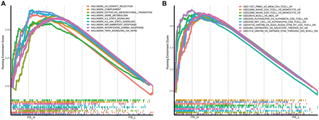 GSEA for HCC tumor samples. (A) Significantly enriched “hallmark gene sets” in the high ITK subgroup. (B) Significantly enriched “C7 gene sets” (the immunological gene sets) in the high ITK subgroup.