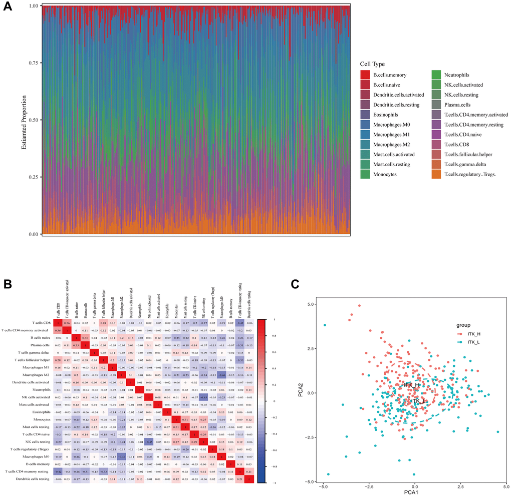 TIC profiling of HCC tumor tissues and correlation analysis. (A) The composition of 22 kinds of TICs in HCC tumor tissues is shown in a bar plot. (B) Heatmap showing the correlation between 22 kinds of TICs. (C) Principal component analysis of the HCC tumor tissues with high and low ITK expression.