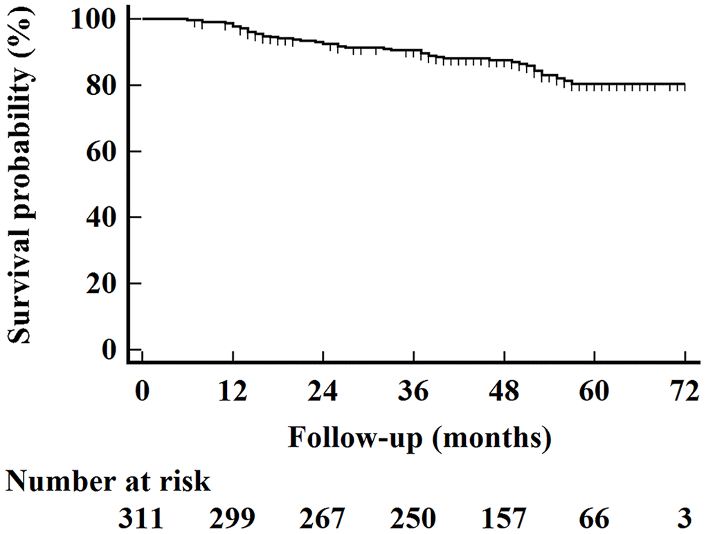 Kaplan–Meier overall survival curves for all 311 patients.