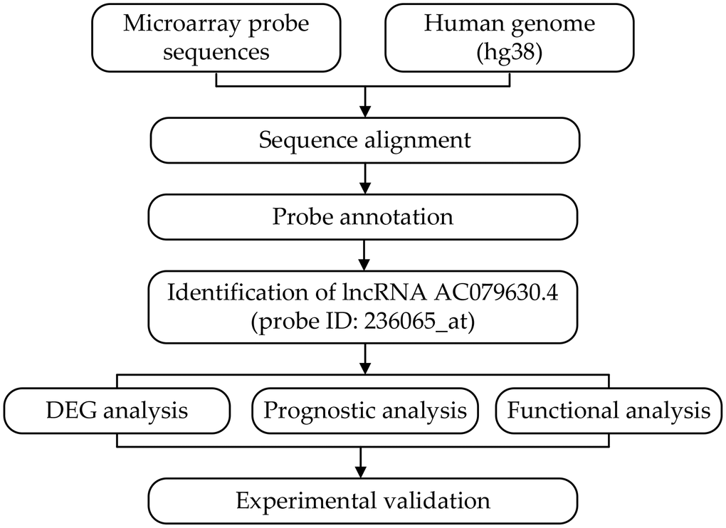 Flowchart of the whole procedures. DEG, differentially expressed gene.