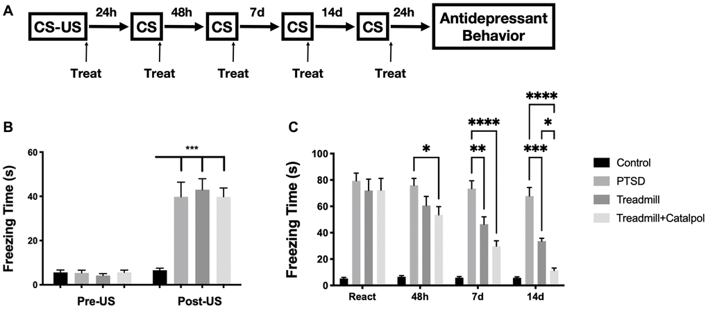 Combination of catalpol enhanced the effects of treadmill to reduce PTSD symptoms. (A) Experimental process to establish the CS-US induced PTSD behavioral dysfunctions. (B) Freezing time comparation before and after the US performance. (C) Daily recorded freezing time under CS stimulation in different treatment. Two-way ANOVA, Tukey’s post-hoc, *p **p ***p ****p 