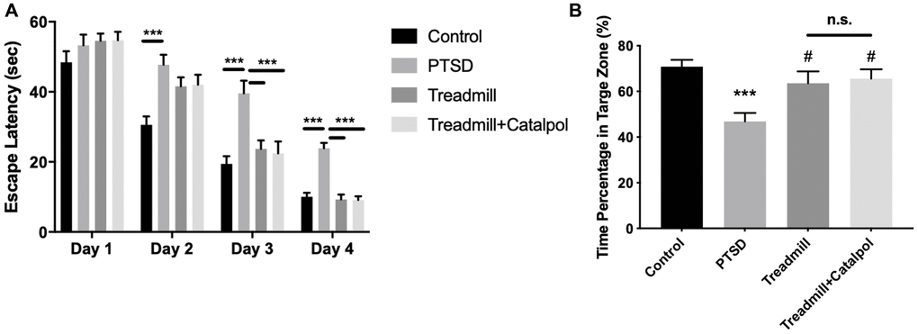 Combination of catalpol promoted the exercise-induced cognitive protection in PTSD mice. (A) The latency escape time of the mice in acquisition test. (B) Time percentage of the mice to swim in the target zone during the probe trail. Two-way ANOVA for acquisition test, *p **p ***p ***p #p 