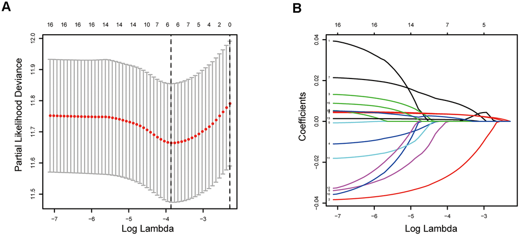 Establishment of epigenetic-related prognostic signature. (A) Screening of optimal parameter (lambda) at which the vertical lines were drawn. (B) Lasso coefficient profiles of these ERGs with non-zero coefficients determined by the optimal lambda.