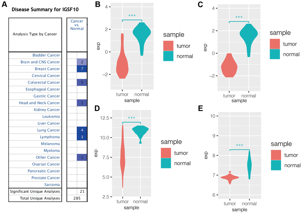 IGSF10 expression is downregulated in several cancers including LUAD. (A) Oncomine database analysis shows expression levels of IGSF10 in several cancer types. Blue represents low expression of IGSF10 in tumor tissues compared to the corresponding normal tissues; the numbers correspond to the datasets for each cancer type. (B) IGSF10 expression levels in LUAD and normal lung cancer samples in the GSE19188 dataset. (C) IGSF10 expression levels in LUSC and normal lung tissue samples in the GSE19188 dataset. (D) IGSF10 expression levels in LUAD and normal lung tissue samples in the GSE31210 dataset. (E) IGSF10 expression levels in LUAD and normal lung tissue samples in the GSE32863 dataset.