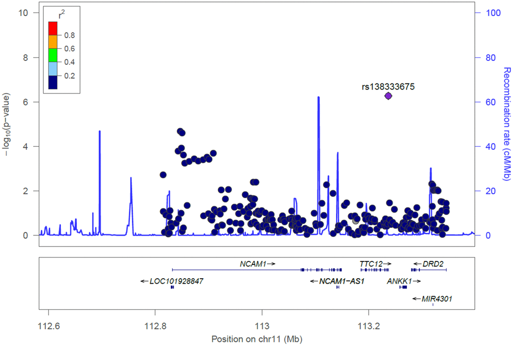 Locus zoom plot for the NCAM1-TTC12-ANKK1-DRD2 locus for cognitive aging in the Taiwan Biobank. SNPs are shown by their position on the chromosome against their association (−log10 P) with cognitive aging. SNPs are colored to reflect their linkage disequilibrium with the top SNP (rs138333675) in TTC12. Estimated recombination rates are plotted in cyan using Asian subjects from the 1000 Genomes Project. This plot was generated using LocusZoom.