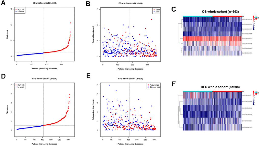 Division of OS/RFS cohorts into sub-groups by risk score of lncRNA-based classifiers. (A) Distribution of patients the OS whole cohort according to risk score by the classifier. (B) Sub-groups in OS cohorts with different vital status. (C) Expression of lncRNAs from the OS classifier in high- and low-risk groups of the OS cohort. (D) Distribution of patients the RFS whole cohort according to risk score by the classifier. (E) Sub-groups in RFS cohorts with different recurrence status. (F) Expression of lncRNAs from the RFS classifier in high- and low-risk groups of the RFS cohort.