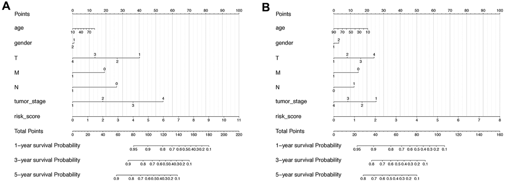Nomogram including lncRNA-based signature and other pathoclinical factors for both OS and RFS prognosis prediction. (A) Nomogram including risk score determined by the lncRNA-based signature and other pathoclinical factors for OS prognostic assessment of HCC. (B) Nomogram including risk score determined by the lncRNA-based signature and other pathoclinical factors for RFS prognostic assessment of HCC.
