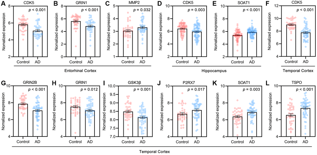 Targets of GF against AD in control and AD groups of GEO dataset. (A–C) Entorhinal cortex, n = 39 in each group. (D, E) Hippocampus, n = 66 in healthy control, n = 74 in the AD patients. (F–L) Temporal cortex, n = 39 in healthy control, n = 52 in the AD patients. Values are presented as mean ± standard errors mean (SEM).