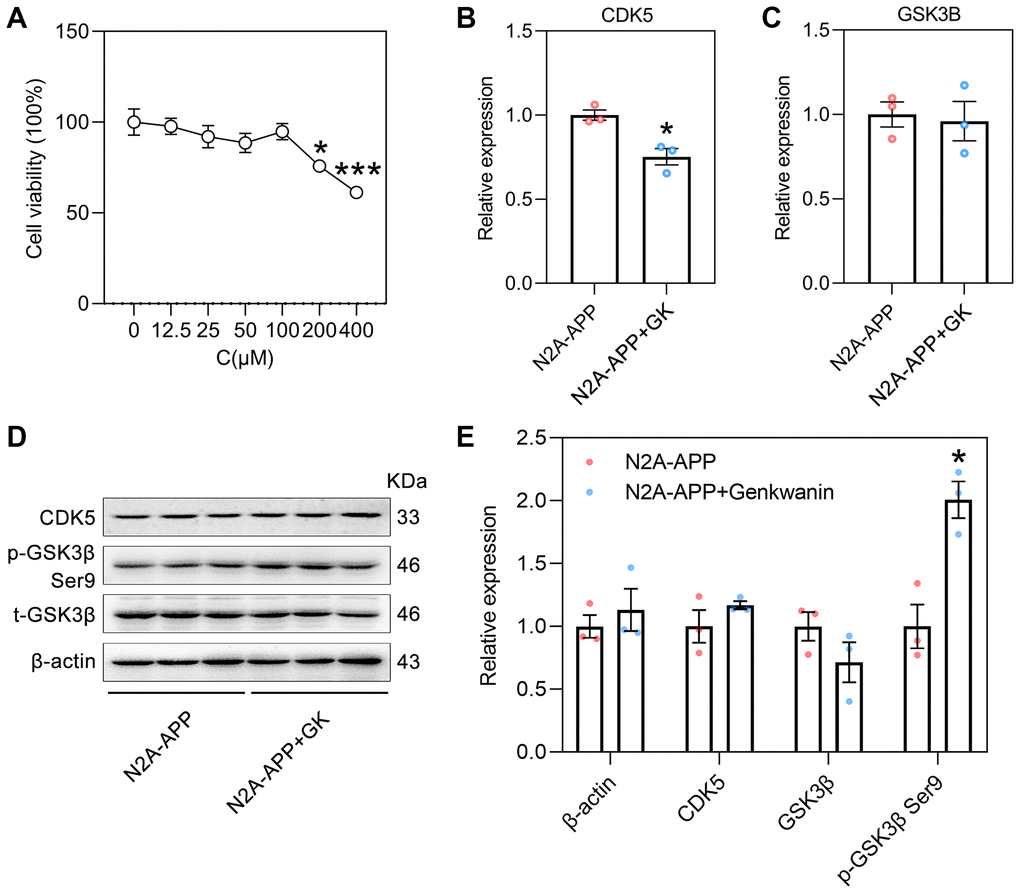 The effect of GK on CDK5 and GSK3β in N2A-APP cells. (A) The viability of genkwanin treated N2A-APP cells were measured at different concentration using CCK-8 analysis for 48 h (n = 5). Data were expressed as the means ± SEM. *p ***p B, C) The level of CDK5 and GSK3β were normalized to the level of β-actin mRNA (n = 3/group). (D, E) Protein level of CDK5, phosphorylated GSK3β (p-GSK3β, Ser9) and total GSK3β (t-GSK3β) were measured by Western blotting and quantitatively analyzed (n = 3/group). β-actin was used as a protein loading control. N2A-APP cells treated with 0.1% DMSO solvent served as controls. Data were expressed as the means ± SEM. *p **p 