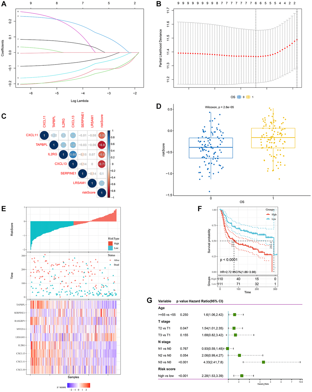 Construction of a hypoxia and immune-related gene signature for prognosis. (A, B) The LASSO coefficient profiles were constructed from 9 prognostic hypoxia and immune-related genes, and the tuning parameter (λ) was calculated based on the minimum criteria for OS with ten-fold cross validation. Six genes were selected according to the best fit profile. (C) Correlation between risk score and the selected 6 genes in the METABRIC cohort. (D) HIRS was remarkably increased in patients who died during follow-up. (E–F) Distributions of risk score, expression profile, and survival status of the gene signature. (G) Multivariate Cox regression model showed that HIRS as an independent risk factor for OS in the METABRIC cohort.