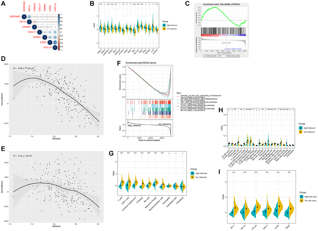 Hypoxia-related sketch, immune-related sketch, and tumor infiltrating immune cells in the HIRS based groups in the METABRIC cohort. (A) Correlation between the gene signature and HIF1A. (B) Correlation between HIRS and hypoxia-related genes. (C) GSEA confirmed the hypoxia status in the HIRS-based groups. (D) GSEA of immune-related signaling in the HIRS-based groups. (E–F) ESTIMATE analyses between different risk groups. (G) MCP-counter analyses between different risk groups. (H) CIBERSORT analyses between different risk groups. (I) the expression of immune checkpoint targets between different risk groups.