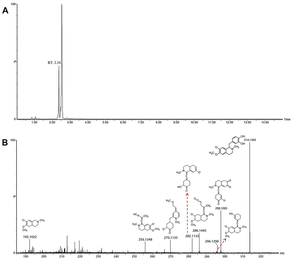 Chromatograms (A) and fragmentations and mode assignments (B) of coclaurine.