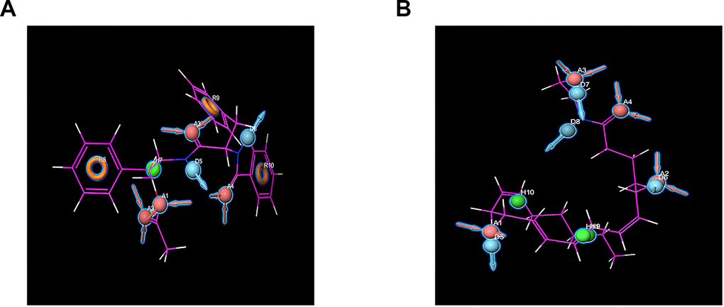 Pharmacophore predictions using Schrodinger. Red represents hydrogen acceptor; blue represents hydrogen donor, green represents the hydrophobic center, and yellow represents Aromatic Ring. (A) ZINC000013374324 to mTORC1; (B) ZINC000012495776 to mTORC1.