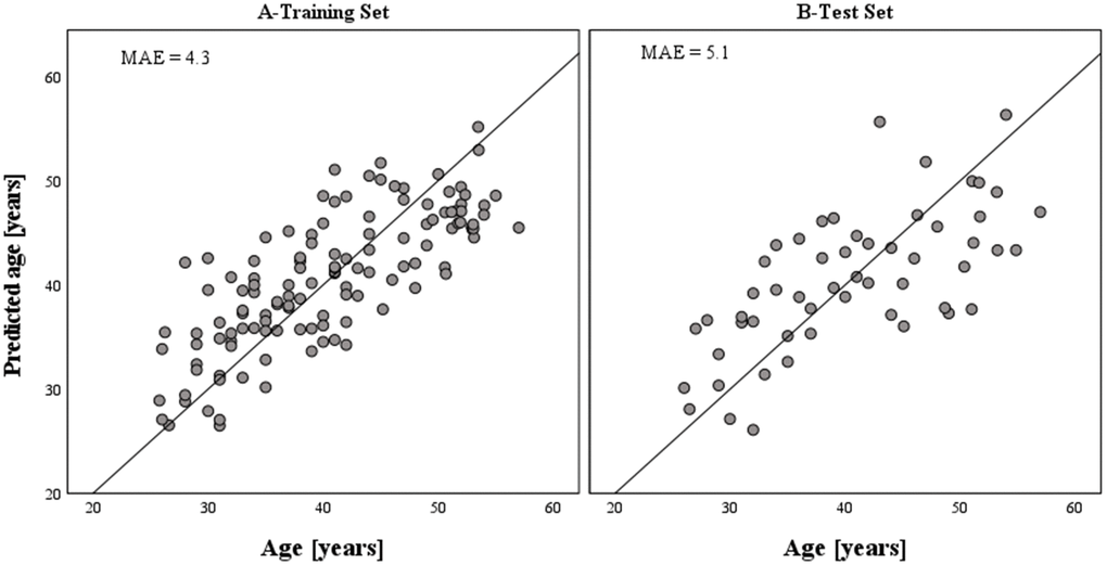 Epigenetically predicted vs. chronological age in semen samples based on the model training (N = 125) and model test (N = 54) datasets, respectively. The accuracy of prediction achieved with the developed epigenetic age prediction model for semen equals a MAE of 4.3 years (RMSE = 5.2) in the training set and a MAE of 5.1 years (RMSE = 6.3) in the test set. The six CpGs included in the model explained 60% of the age variation observed in the training set.