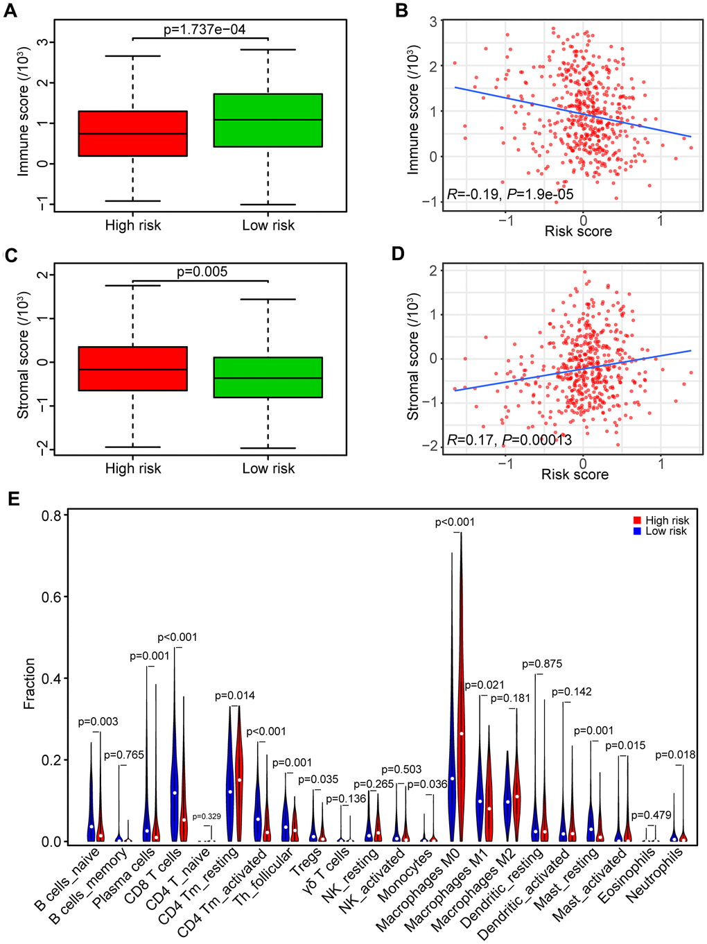 Association between risk score and tumor immunity. (A) Distribution of immune scores in high- and low-risk HNSCC patients. (B) Association between the risk score and immune score in HNSCC samples. (C) Distribution of stromal scores in high- and low-risk HNSCC patients. (D) Association between the risk score and stromal score in HNSCC samples. (E) Comparison of immune cell fractions between the high-risk and low-risk HNSCC patients.
