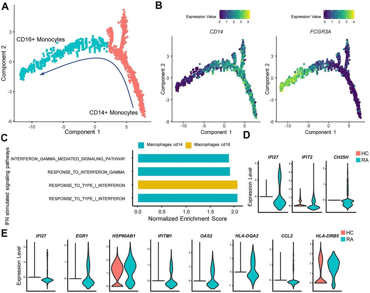 a-comprehensive-transcriptomic-analysis-of-alternate-interferon